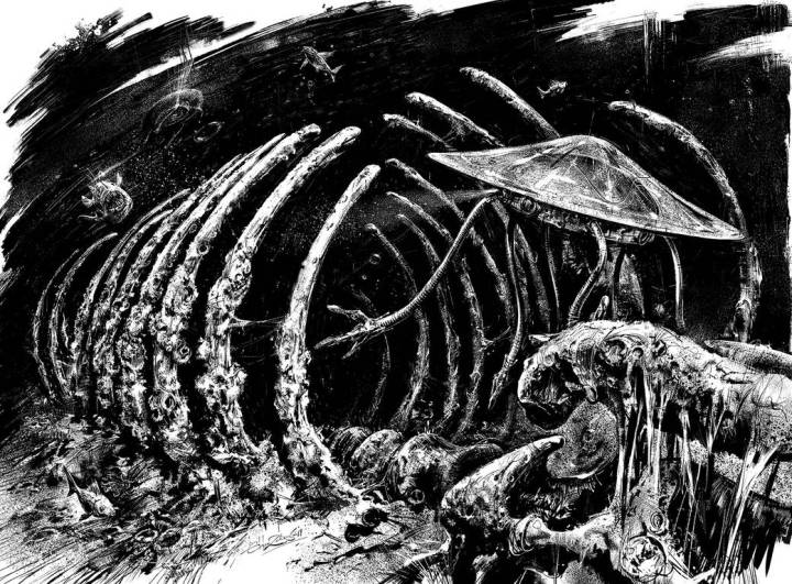 at_the_fall_by_eldarzakirov_dd572fh-pre